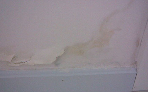 衛(wèi)生間漏水，有沒有不砸磚的解決辦法？老師傅來告訴你答案