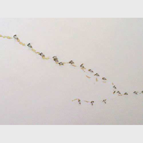 深圳業(yè)主必看：內(nèi)墻面滲水怎么處理最好？老工長(zhǎng)的實(shí)用方案