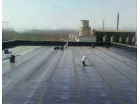 深圳新建住宅衛(wèi)生間集體滲漏？這樣做防水，順利交房無煩惱